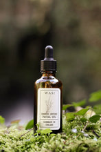 Load image into Gallery viewer, Infused Facial Oil