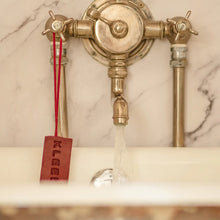 Load image into Gallery viewer, Persuasion Soap - On a Rope