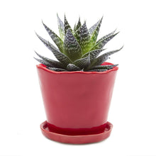 Load image into Gallery viewer, Big Tika Planter- Red