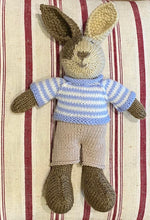 Load image into Gallery viewer, Knitted Creatures