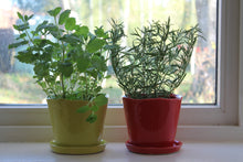 Load image into Gallery viewer, Big Tika Planter - Green Sheen