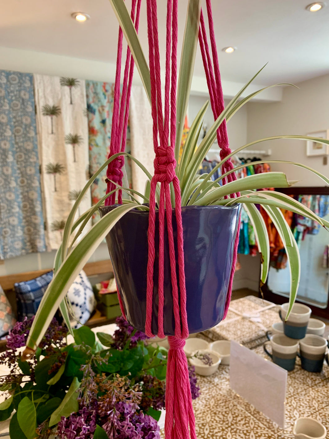 Knotted Plant Hanger