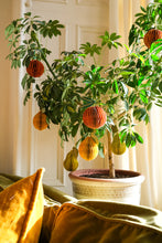 Load image into Gallery viewer, Honeycomb Pear Decoration

