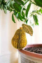 Load image into Gallery viewer, Honeycomb Pear Decoration
