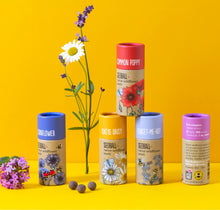 Load image into Gallery viewer, Seedball Wildflower Tubes
