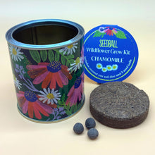 Load image into Gallery viewer, Seedball Wildfower Kit - Forget-me-not
