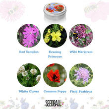 Load image into Gallery viewer, Seedball Tin
