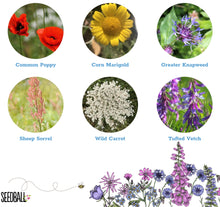 Load image into Gallery viewer, Seedball Tin
