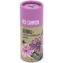 Load image into Gallery viewer, Seedball Wildflower Tubes
