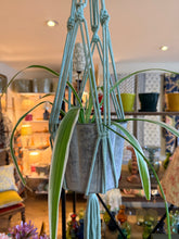 Load image into Gallery viewer, Knotted Plant Hanger - 3 Colours
