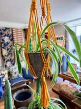 Load image into Gallery viewer, Knotted Plant Hanger - 3 Colours
