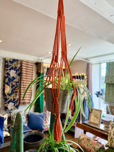 Load image into Gallery viewer, Knotted Plant Hanger - 3 Colours
