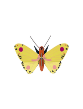 Load image into Gallery viewer, 3D Wall Art - Luzerne Butterfly

