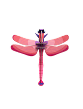 Load image into Gallery viewer, 3D Wall Art - Ruby Dragonfly
