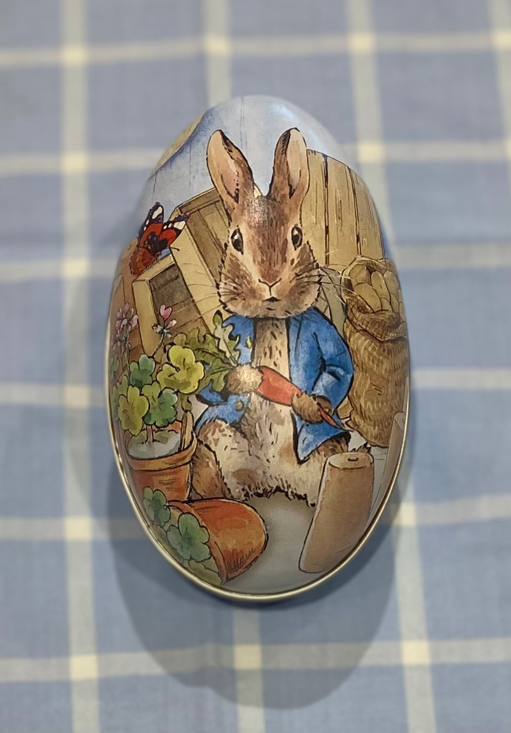 Peter Rabbit Tin  - Medium