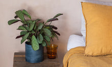 Load image into Gallery viewer, Hand-cast indoor plant pot

