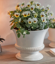 Load image into Gallery viewer, Hinton Planter
