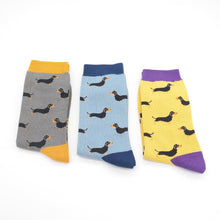 Load image into Gallery viewer, Socks in a box !
