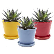 Load image into Gallery viewer, Big Tika Planter- Red
