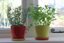 Load image into Gallery viewer, Big Tika Planter - Green Sheen
