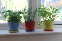 Load image into Gallery viewer, Big Tika Planter  - Periwinkle
