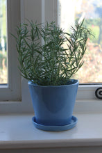 Load image into Gallery viewer, Big Tika Planter  - Periwinkle

