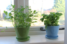 Load image into Gallery viewer, Big Tika Planter  - Periwinkle
