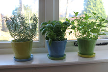 Load image into Gallery viewer, Big Tika Planter - Green Sheen
